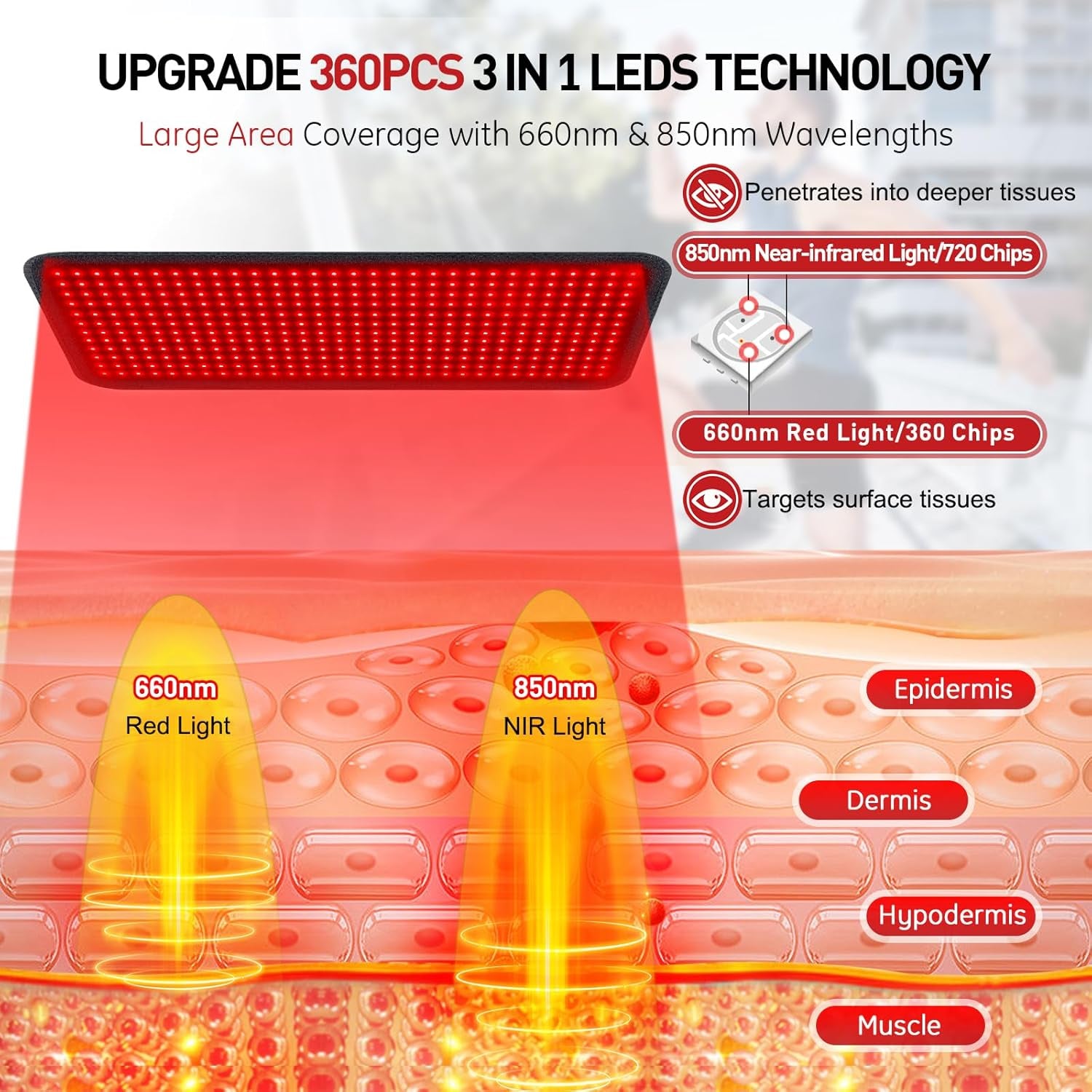 Red Light Therapy Mat, 31.5" X 11.8" Red Light Therapy Pad 360 Leds 660Nm & 850Nm Infrared Light Therapy Blanket with Smart Temp & Timer for Body Back Waist Shoulder Muscle Pain Relief, 60W - Open Season Industries